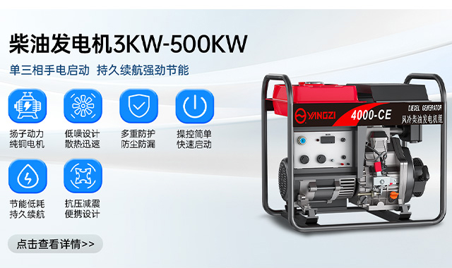 柴油發(fā)電機3KW-500KW 單三相手電啟動(dòng)